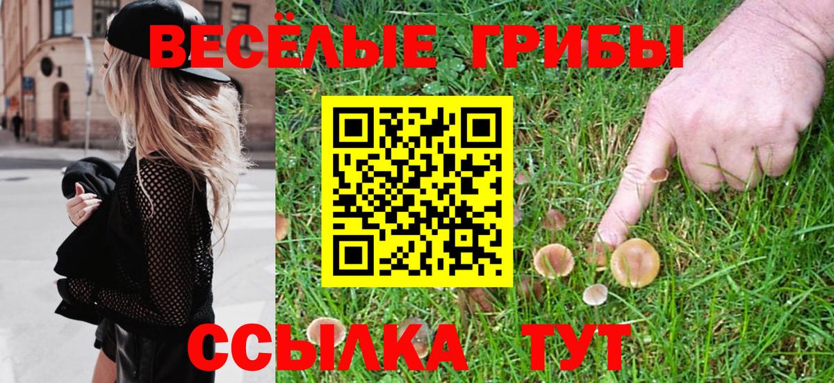 Псилоцибиновые грибы Magic Shrooms  Вход с VPN  Жуковский 