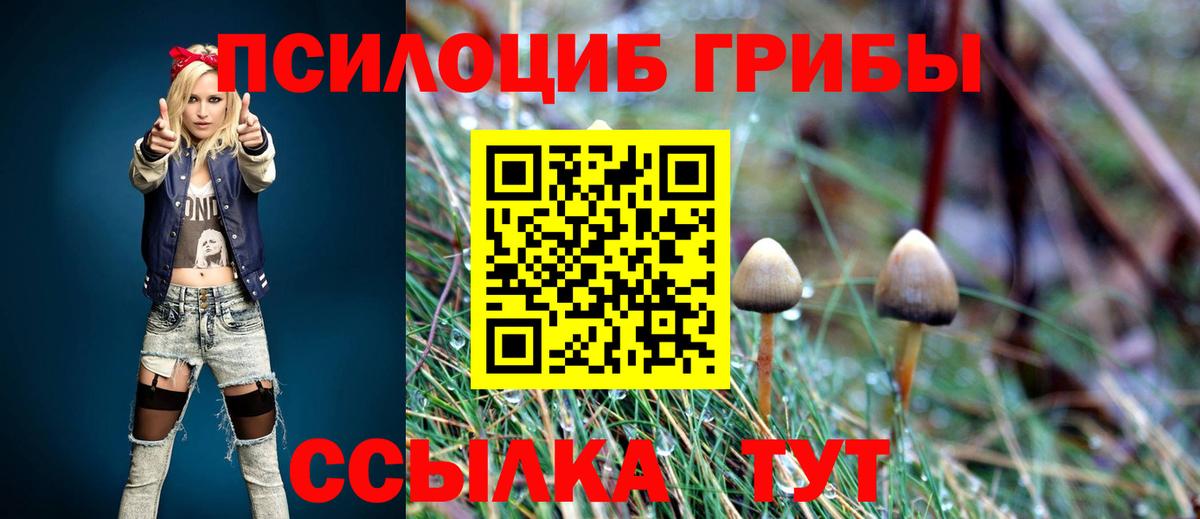 Галлюциногенные грибы Cubensis Жуковский